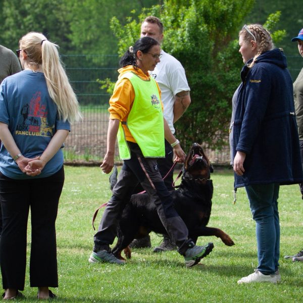 Quatrra Körung 2026-05-14 at 17.19.27(3)